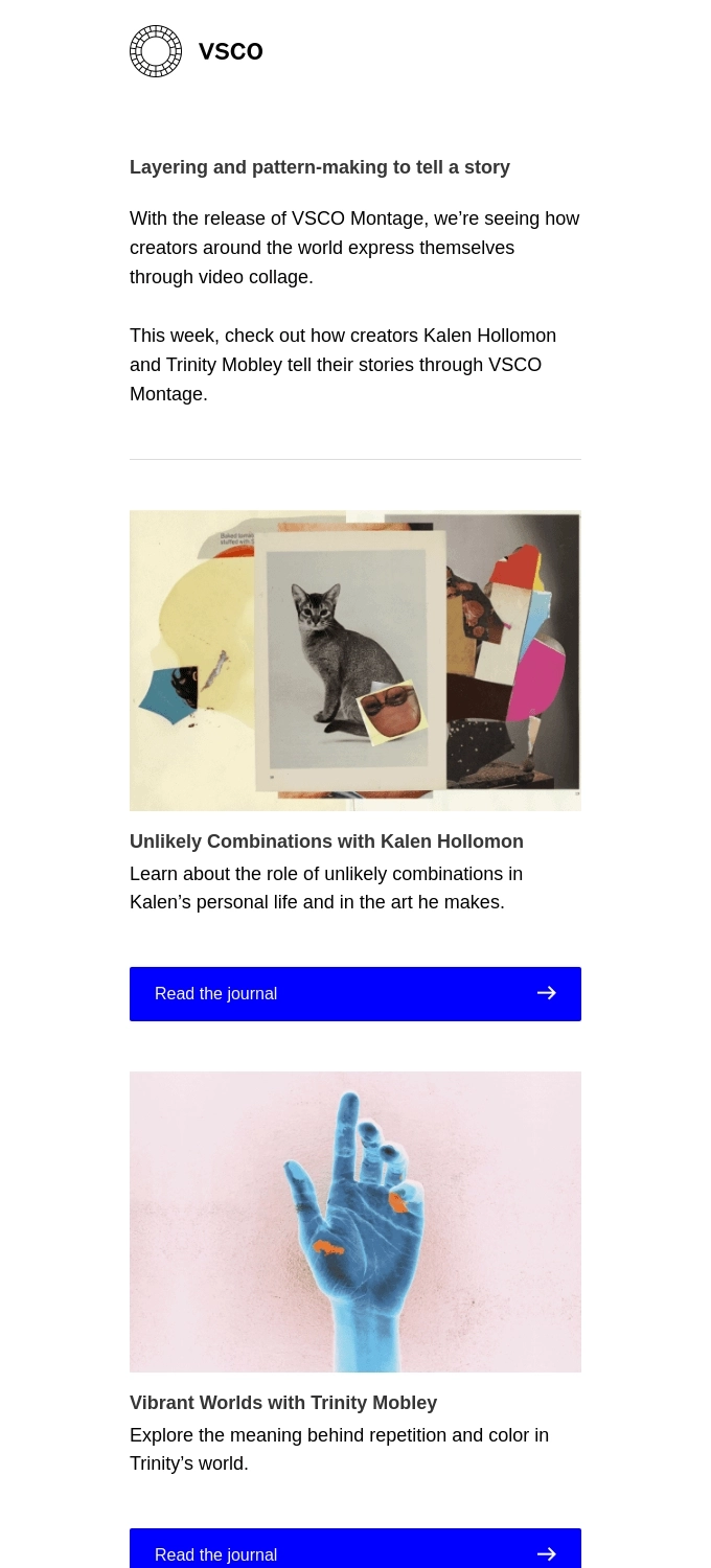 Case Study Email Examples: Screenshot of VSCO's email showcasing customer experiences